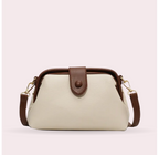 Chic Urban Messenger Bag