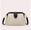 Chic Urban Messenger Bag